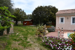 Jardin avec hamacs