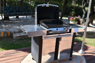 plancha gaz